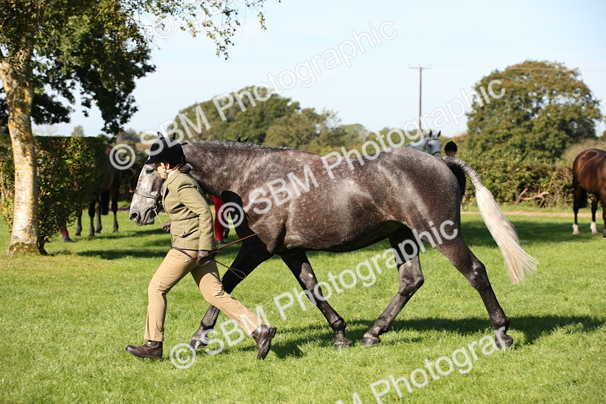SBM_36604 - S10 - Best In Hand Horse & Pony