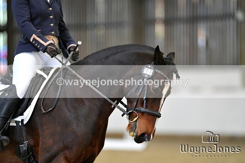 WJ5_7572 - Edited examples