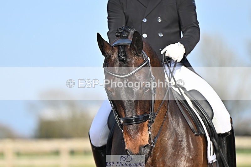 250404-181258-08564 - 159-Darren.Hicks-Tramontana.Tiger.Feet