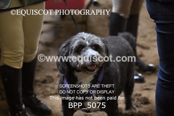 BPP_5075 - CLASS 3 40CM