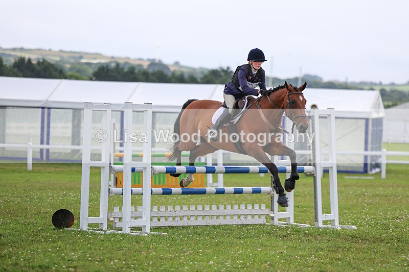 3E7A7311 - Class 7: PC90cm Regional Championship Qualifier Rnd 2 (B)