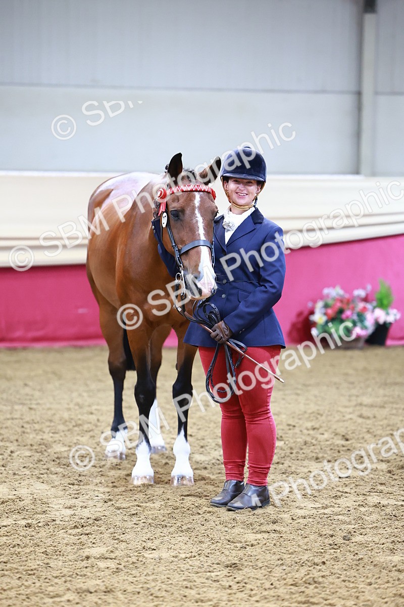 SBM_21813 - Class 901 - Supreme Final - IH  Diamond