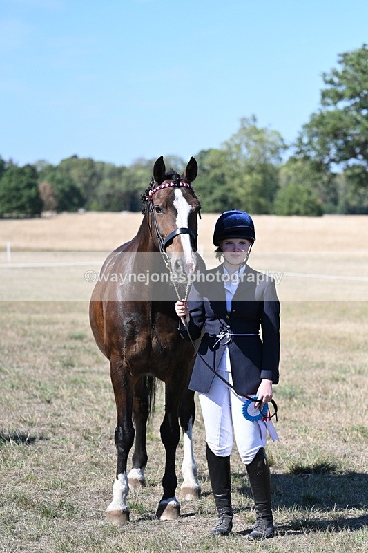 WJ7_1669 - Class 42 Most Handsome Gelding