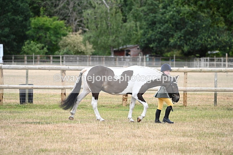 WJ6_4172 - Class 10 Coloured In-hand