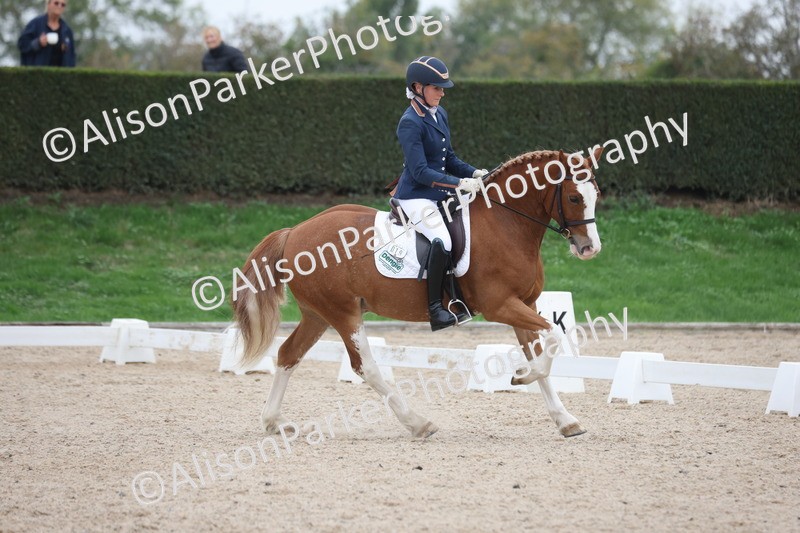 20251011-0363 - Class 3 - Prelim 2