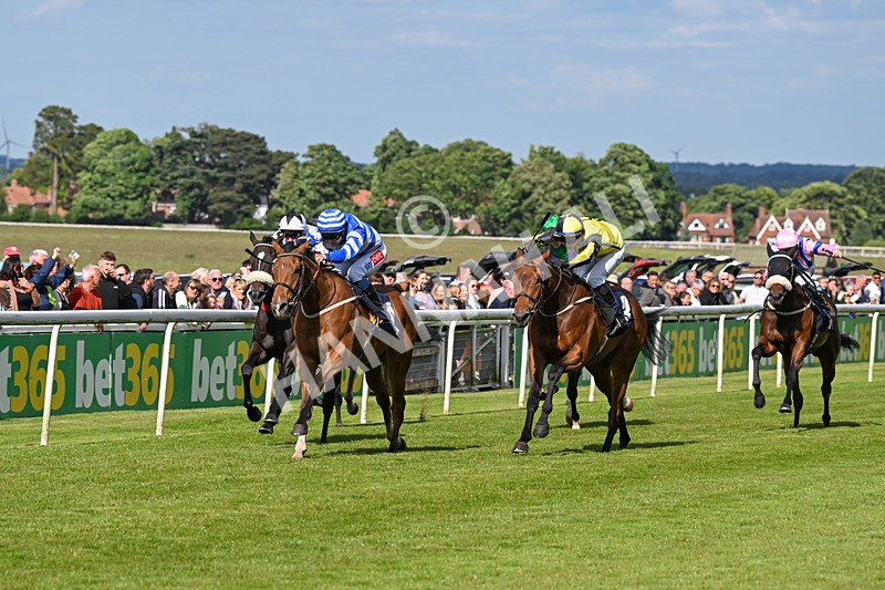 080624-Race 7-This Years Love-2031 - Race 7