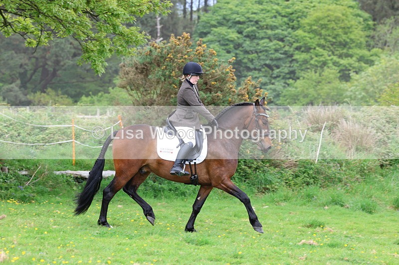 3E7A1746 - Class 9: Riding Club Horse/Pony