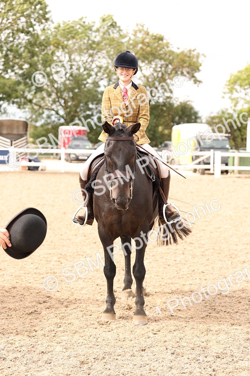 SBM_16533 - Class 212 - Ridden Hunter - Small