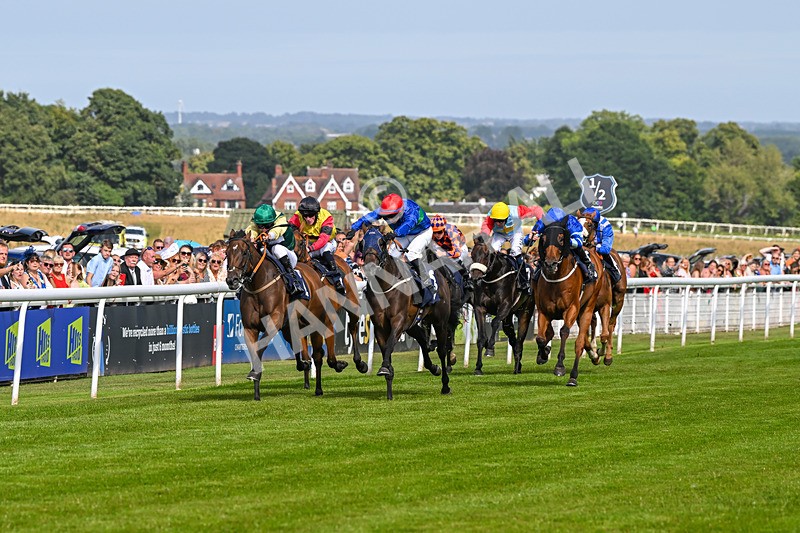 140824-Race 4-Queens Road Revue-6447 - Race 4