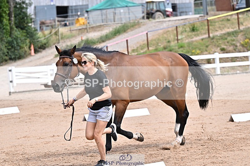 250716-125851-00263 - Trot Up 12.30 to 1.30
