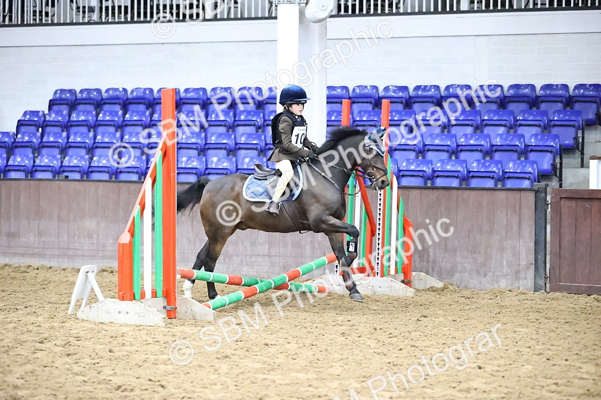 SBM_000097 - Class 2 - The Rug Lady 40cm Area 12 Championship Qualifier
