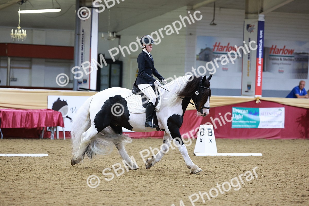 SBM_09951 - Class 61 - Dressage to Music