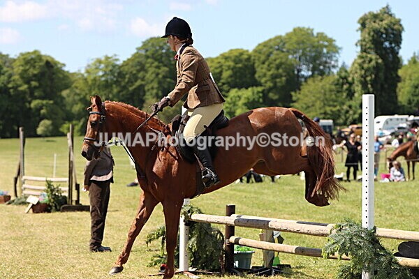 IMG_3788 - Working Hunter