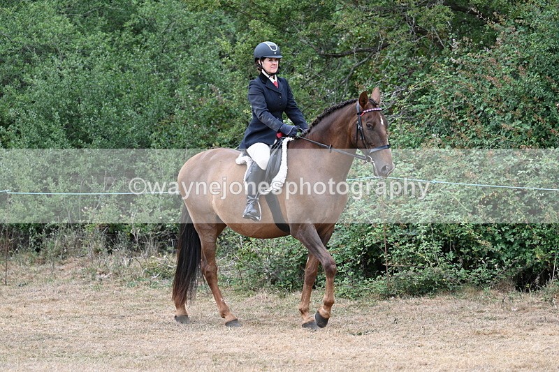 WJ7_0754 - Class 7 Riding Club Show Horse