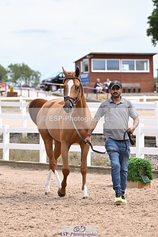 250716-142455-01079 - Trot Up 1.30 to 2.30