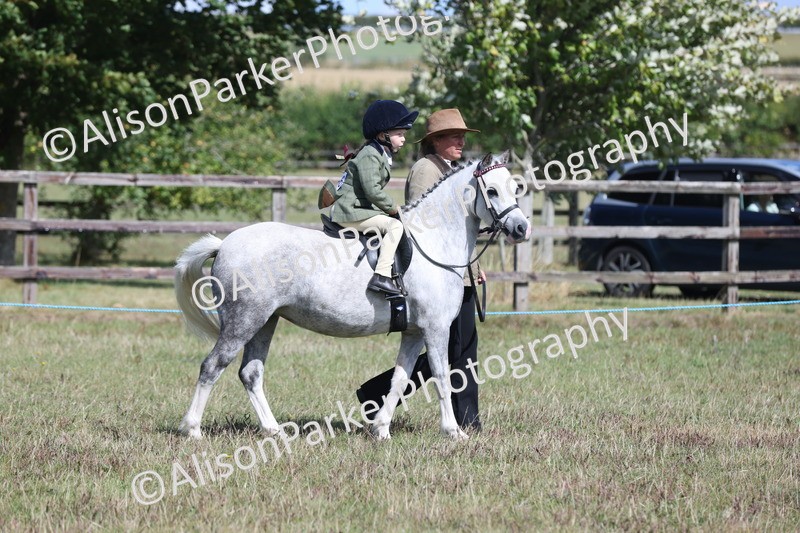 20250831-2646 - Class 17 - Lead Rein Pony