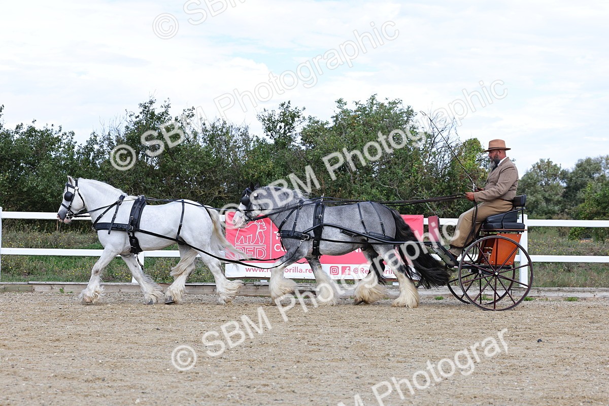 SBM_001199 - Class 16 - Pairs ,Multiples and Tandems