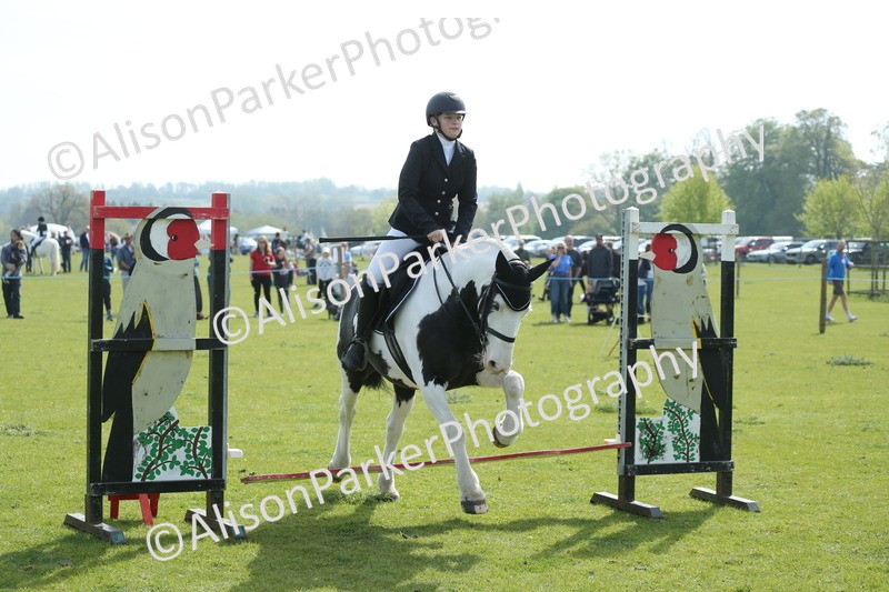 20260426-1465 - Class 14 - Novice 60cm