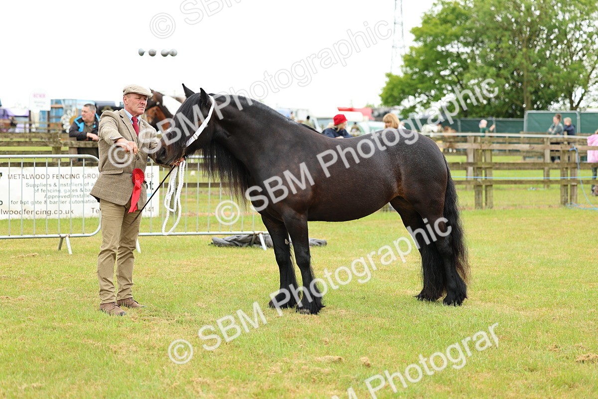 SBM_00568 - Class 58-67 - M&M Non Welsh Pony In hand