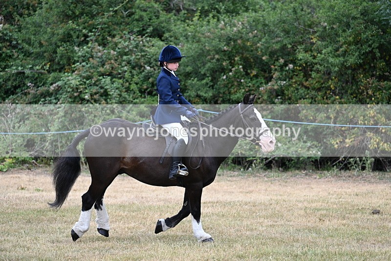 WJ7_0361 - Class 2 Best rider