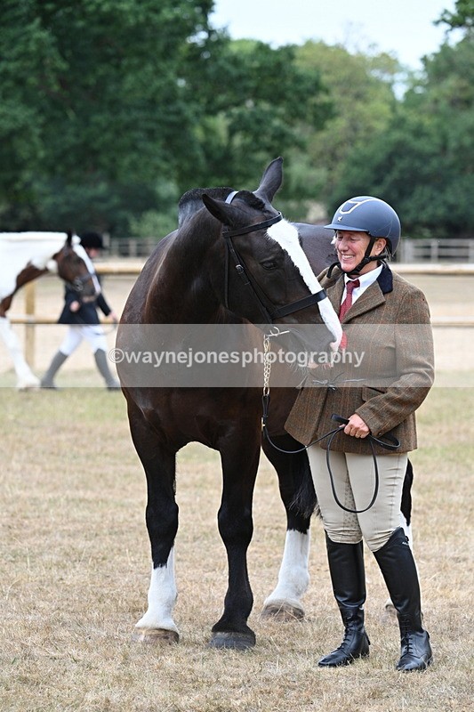 WJ7_0155 - Class 5a Most Handsome Gelding (above 14.2hh)