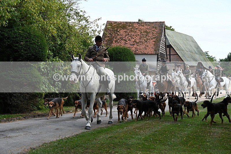WJ6_3924 - Berks & Bucks - The Old farmhouse - Hound Exercise 20-08-25