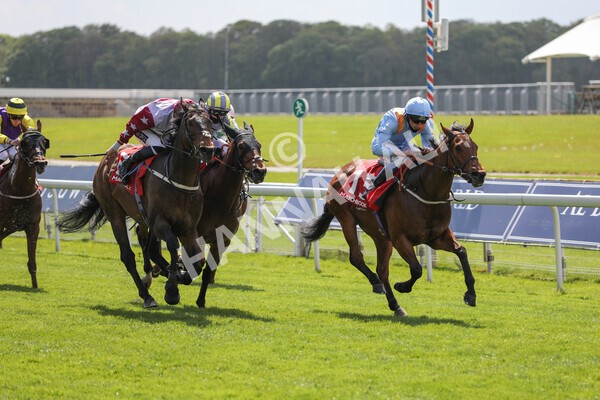 yr13052021r1-26 - Race 1 1.40pm The Matchbook Betting Exchange Stakes