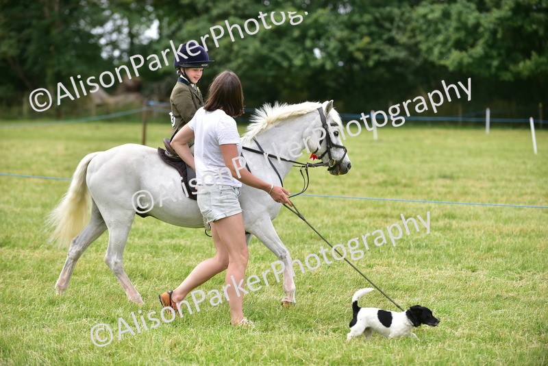 20260614-4528 - Class 19 - Cutest Pony, Rider and Dog Combination
