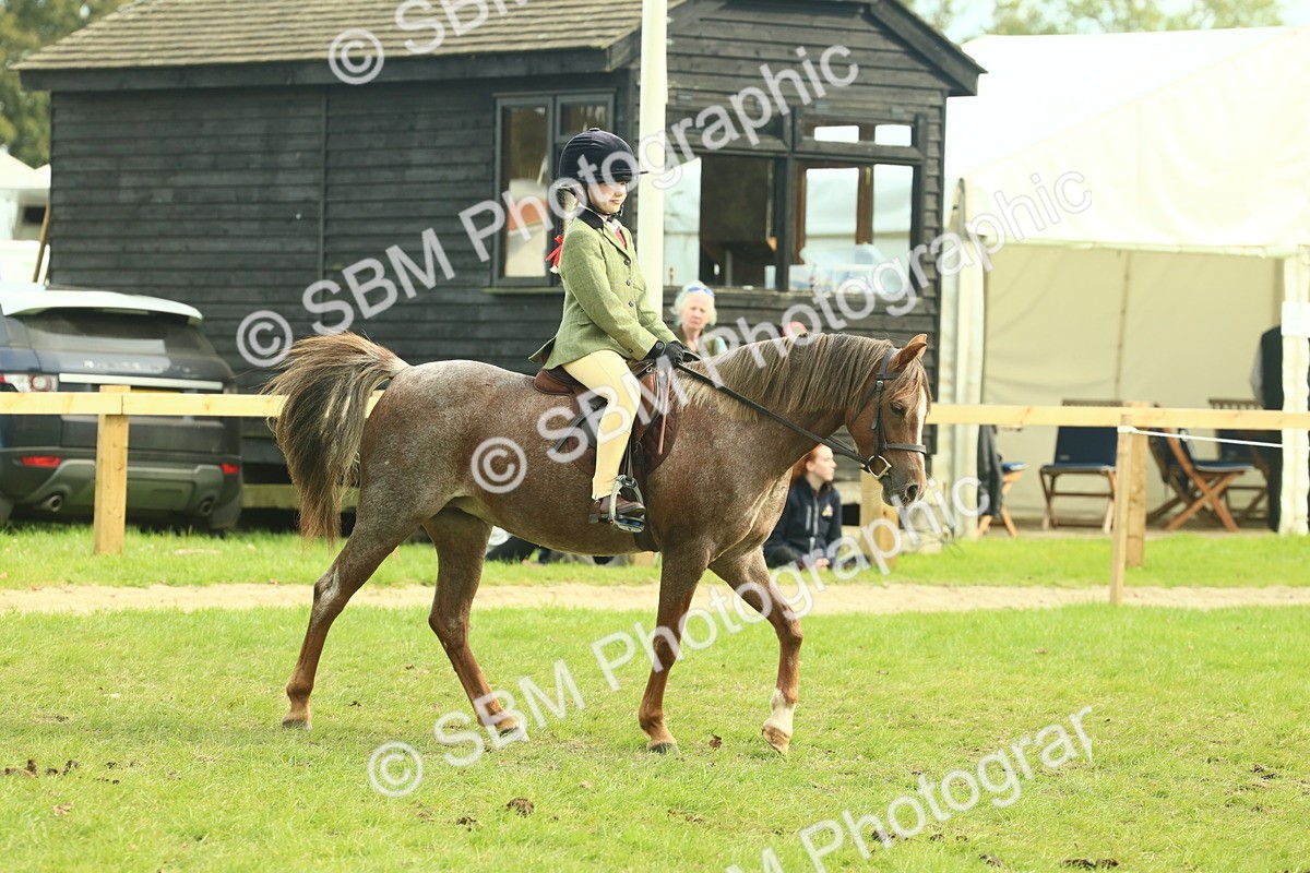 SBM_69779 - S59 - Mountain & Moorland Ridden Small Breeds