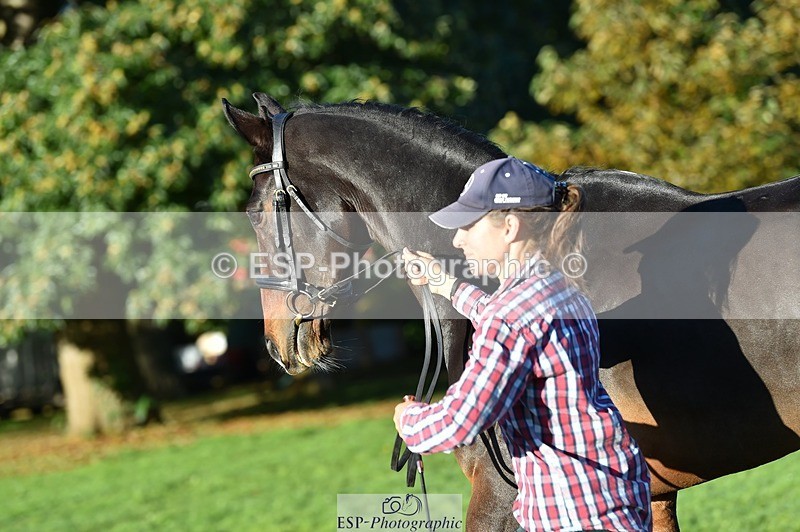 231022-092744-21806 - 685-ADRENALIN.II-Cosima.Atkinson-TrotUp+SJ