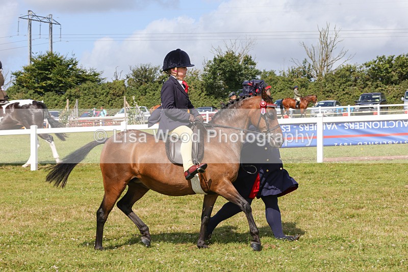 1X9A3705 - Class 29: Lead Rein SP/SHP