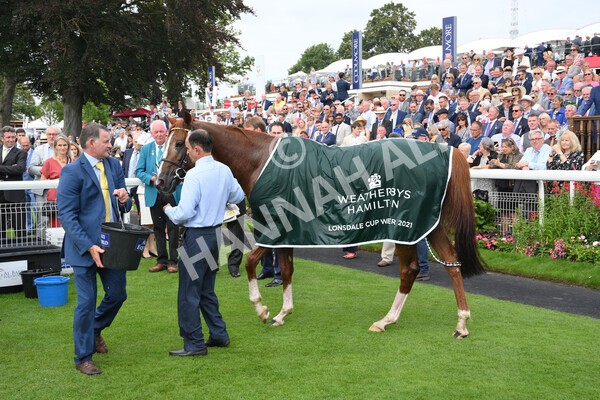 yr20082021r2-101 - Race 2 2.25pm Weatherbys Hamilton Lonsdale Cup (British Champion Series race)