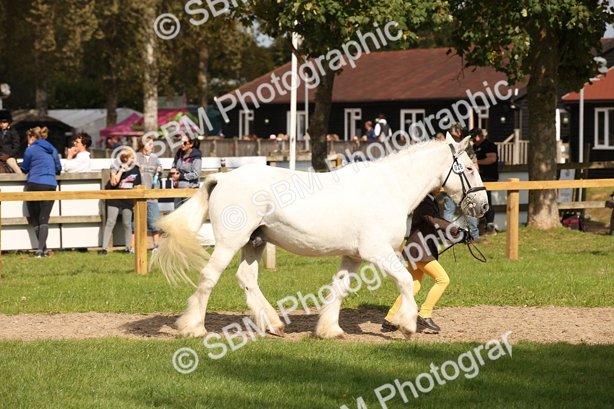 SBM_46335 - S25 - Mature Veteran In Hand