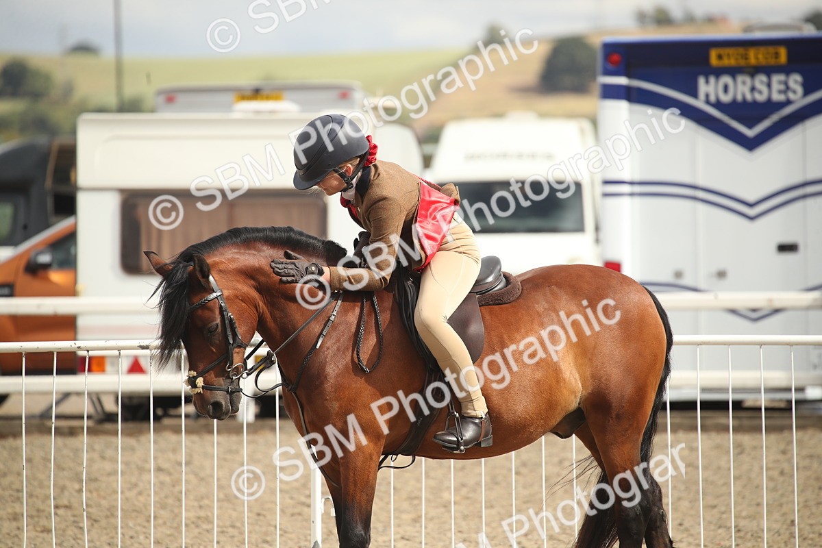 SBM_17872 - Class 508b - Working Veteran 70cm (20+)