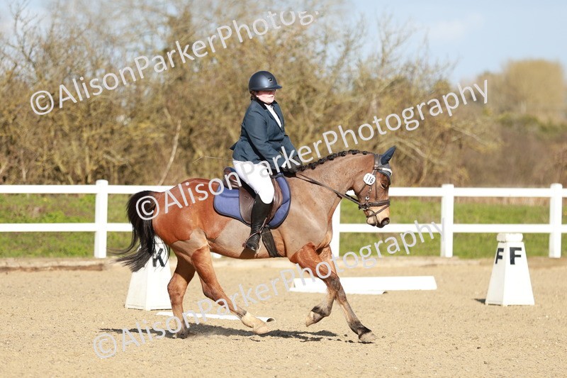 20260314-5331 - DR4 - Prelim 2