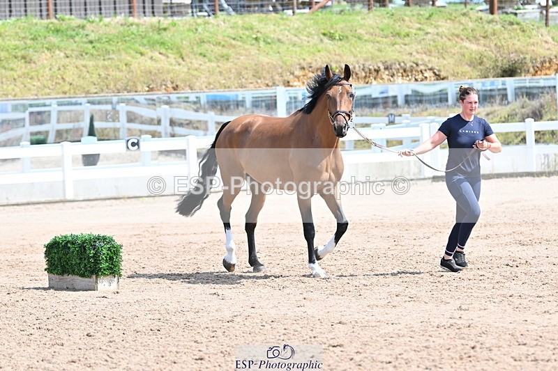 240717A-150425-02503 - Trot Up 3pm to 4pm