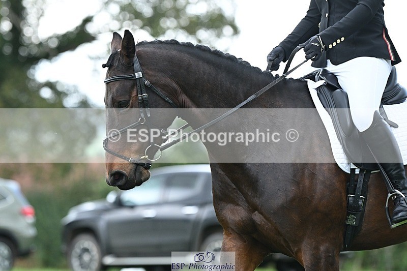 231020-151358-11111 - 503-JAGUAR.MAID-Isobel.Lole-DR