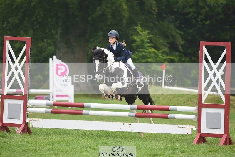 230618-091004-08837_Cls 27 Cats  Pipes 128cm  138cm - 074-989-3184