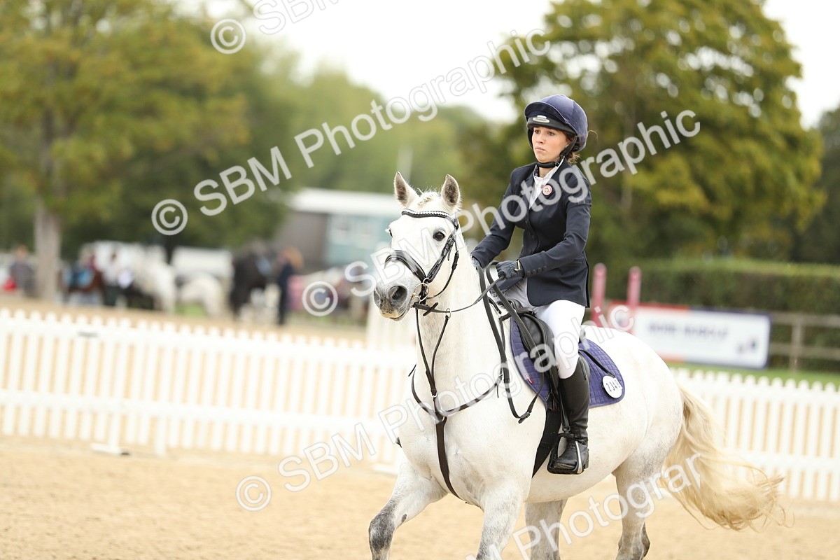 SBM_59642 - J25 - Junior Horse 80cm Championship
