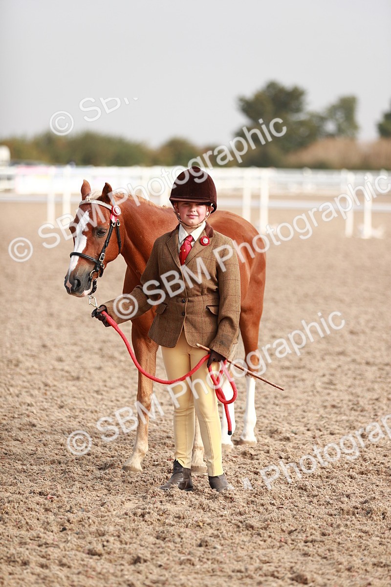 SBM_09910 - Class 203 Young Handler, 10 years and under