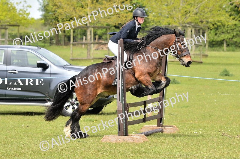20260426-2377 - Class 21 - Working Hunter Ponies
