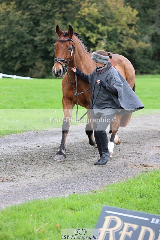 251026A-110015-23444 - G-575-Victoria.Woodland