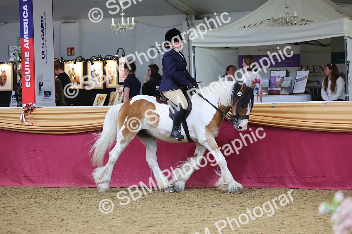 SBM_23654 - Class 904 - Supreme Final Ridden Diamond