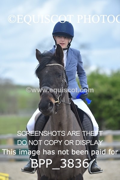 BPP_3836 - CLASS 3 Senior Discovery/ 1m Open