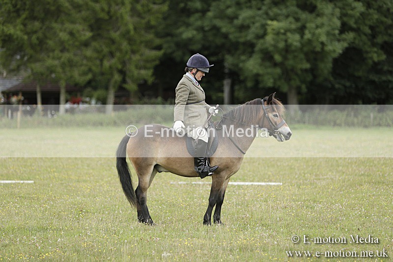 BVR160717-596 - Class 1 & 23a Dressage 16/07/17