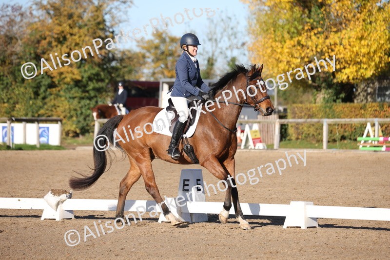 20251102-0421 - Class 3 - Novice 5