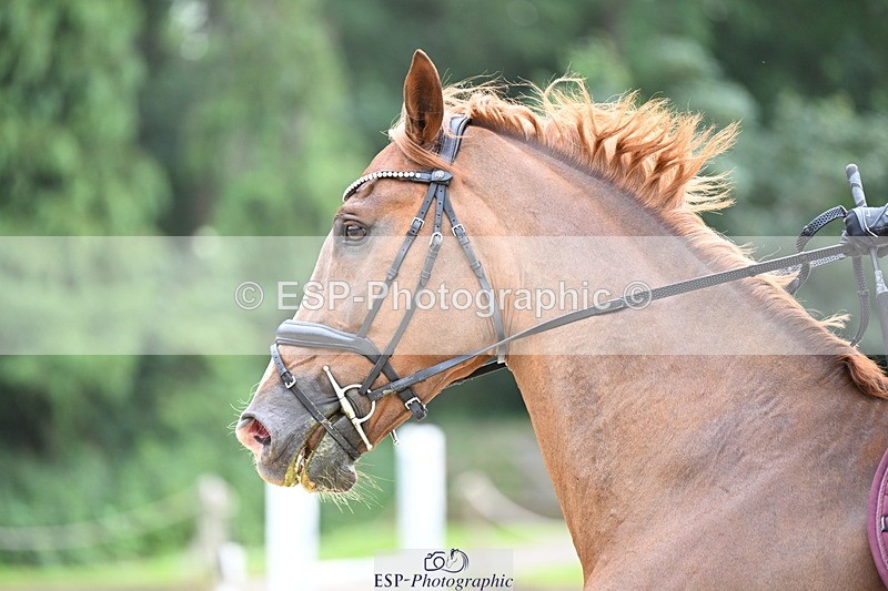 250622A-162356-02886 - 1m