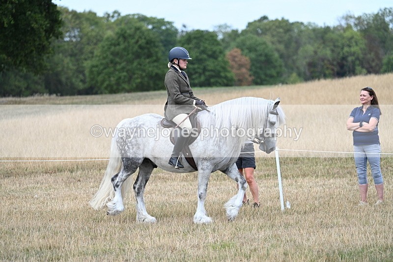 WJ7_5417 - Class 12 Ridden Cob