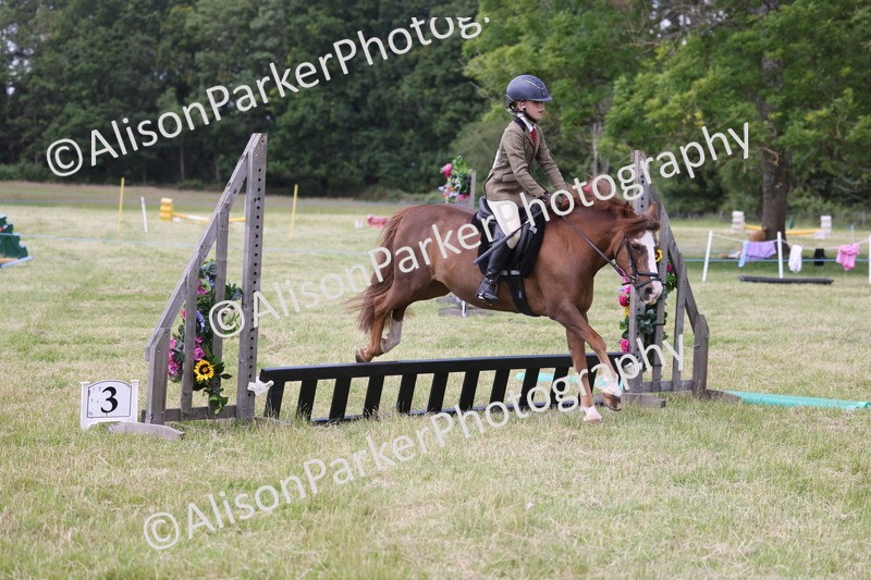 20260614-2074 - Class 21 - Novice Working Hunter Pony