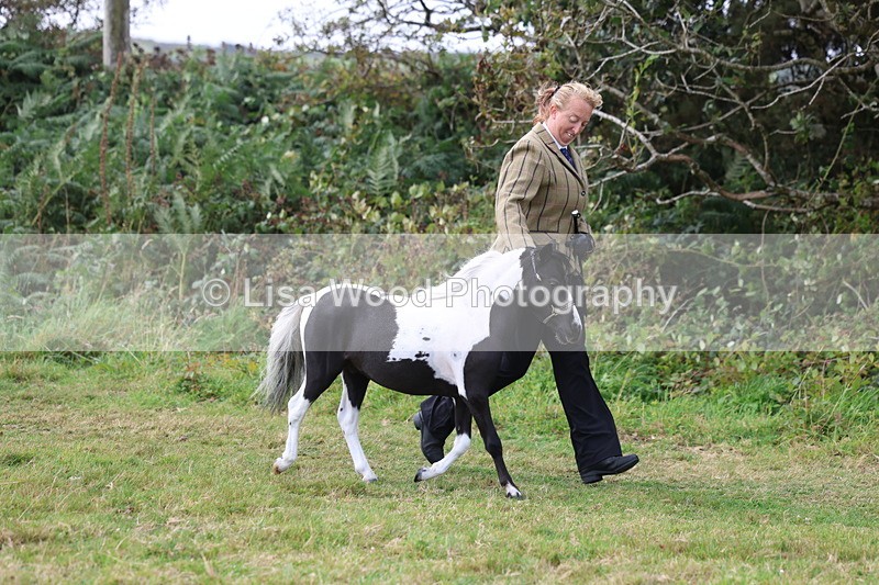 3E7A5382 - Class 19: Best Coloured in Hand